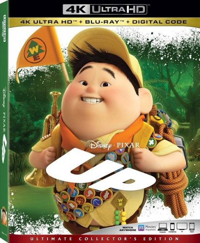 Постер к фильму Вверх / Up (2009) UHD BDRemux 2160p от селезень | 4K | HDR | Лицензия