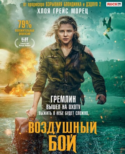 Постер к фильму Воздушный бой / Shadow in the Cloud (2020) BDRemux 1080p от селезень | D, P | iTunes