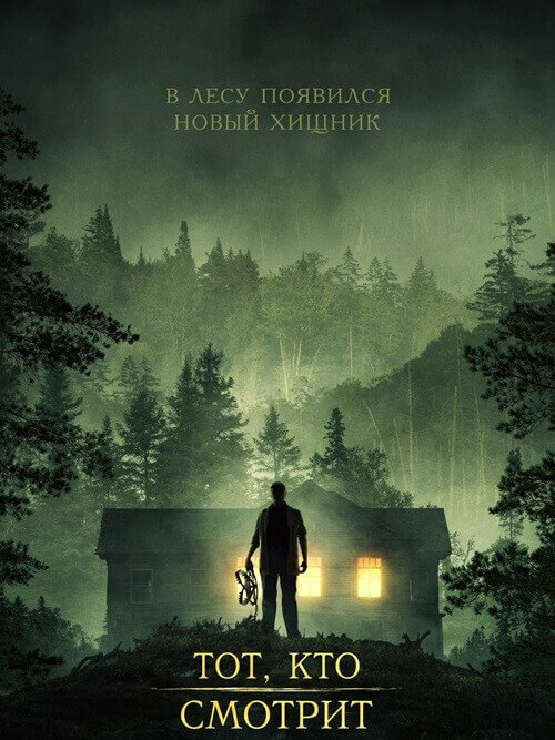 Постер к фильму Тот, кто смотрит / Stranger in the Woods (2024) WEB-DLRip-AVC от DoMiNo & селезень | D